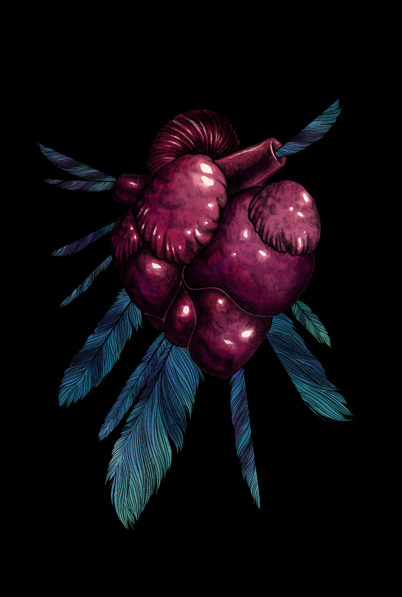 Heart and feathers by Nicholas May
